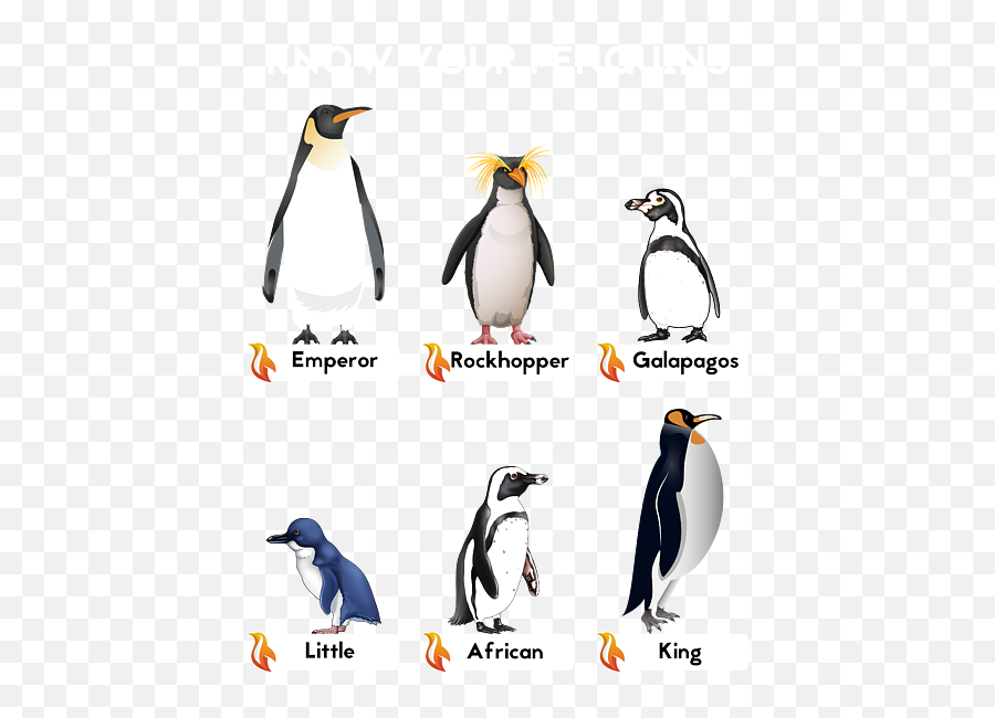 Know Your Penguins Cute Love Birds Bath Towel For Sale By - Animal Figure Emoji,Penguins Cute Emoji