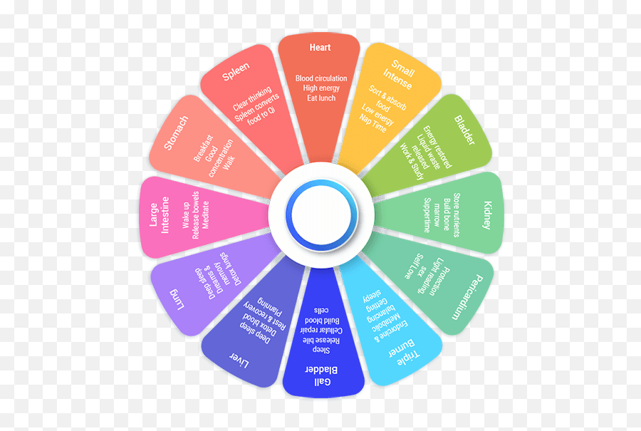 What Is Circadian Rhythm And How It - Vertical Emoji,Chinese Organ Clock And Emotions