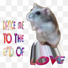 Top Hamster Dance Stickers For Android U0026 Ios Gfycat - Gerbil Emoji,Floss Dance Emoji