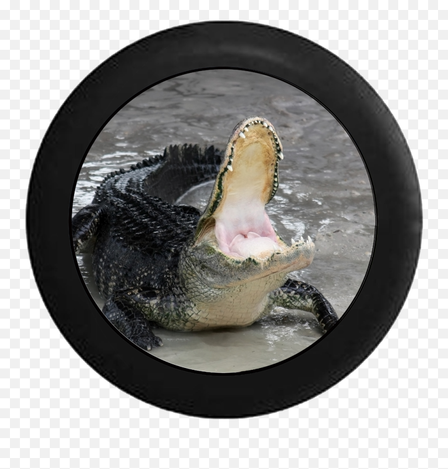Standard Animal Tire Covers - Has Been Later Alligator Is Here Emoji,Alligator Man Emoji
