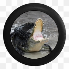 Standard Animal Tire Covers - Has Been Later Alligator Is Here Emoji,Alligator Man Emoji