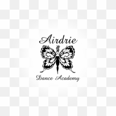 Welcome To Airdrie Dance Academy - Airdrie Dance Academy Language Emoji,Work Emotion Cr Kiwami Crz