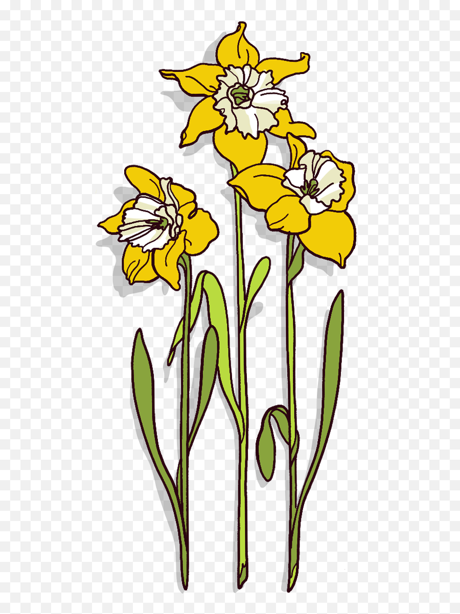 Beautiful Medicine Emoji,Daffodil Emoticon Facebook