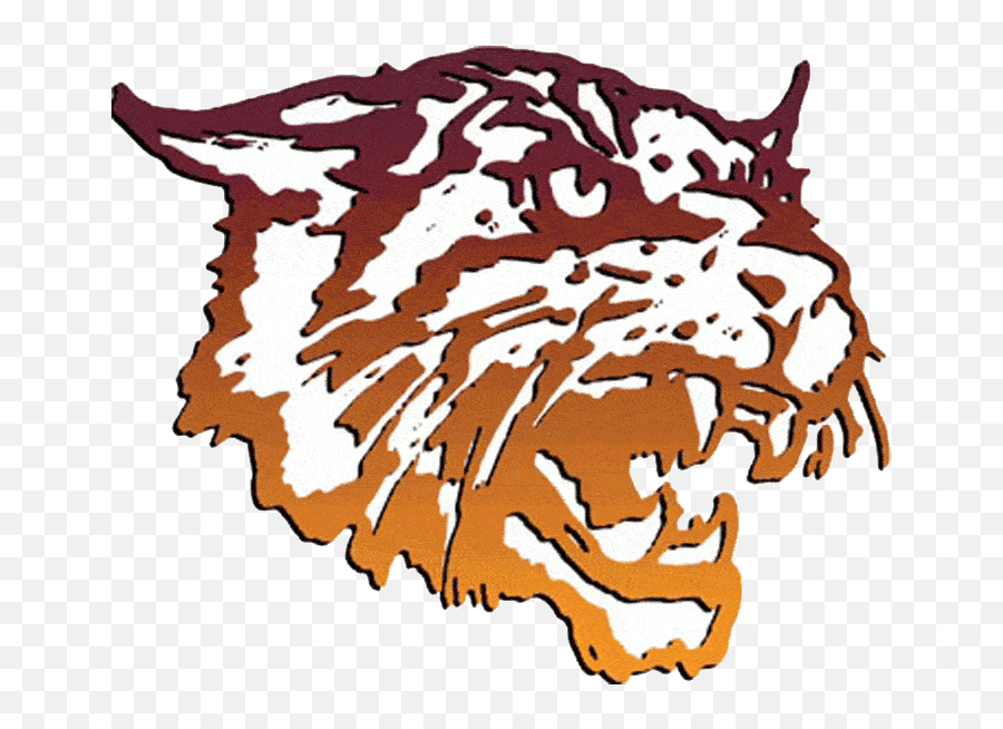 Wildcat Clipart Bcc Wildcat Bcc - Bethune Wildcats Emoji,Wildcat Emoji