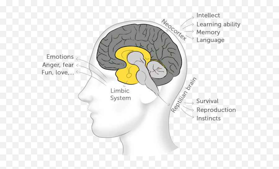 How To Influence Employee Behavior - For Adult Emoji,Emotions Make Us Human