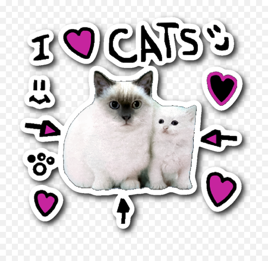 Pin En Juzvan - Love Cats Shirt Roblox Emoji,Guess The Emoji House Candy House