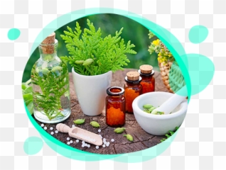 Sanjeevini Homeopathy - Homeopathy Png Emoji,Homeopathic Reasons Face Breakout And Emotions