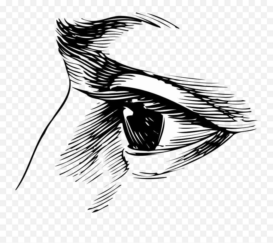 Body Artistic Face Drawing Eye - Ojo Vintage Png Emoji,Drawing Body Emotions