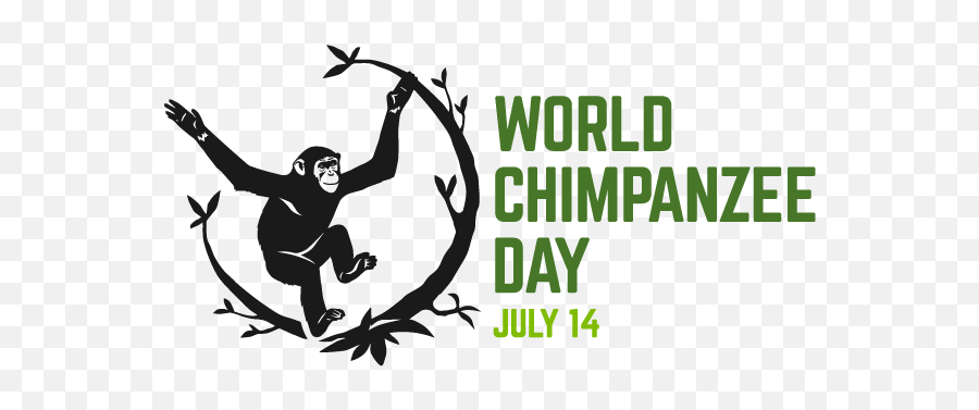 World Chimpanzee Day - World Chimpanzee Day 2021 Emoji,Different Chimpanzee Emotions