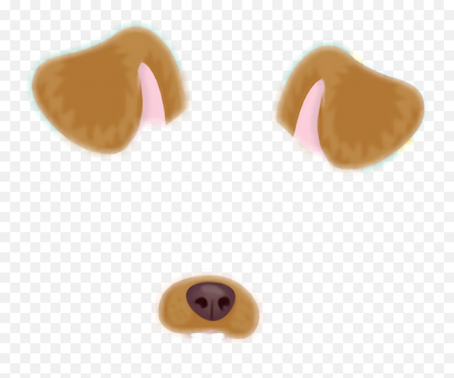 Dog Paddle Animal Doge Snapchat - Filter Snap Chat Png Emoji,Doge Emoticon Alpha Background