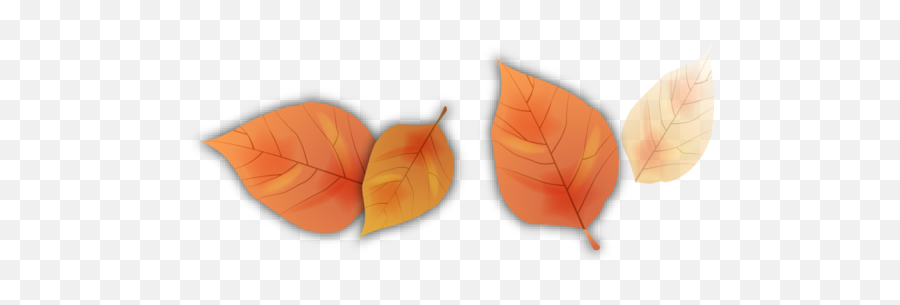 Autumn Leaf Petal Plant Flower For Thanksgiving - 1065x646 Emoji,Petal Emoji