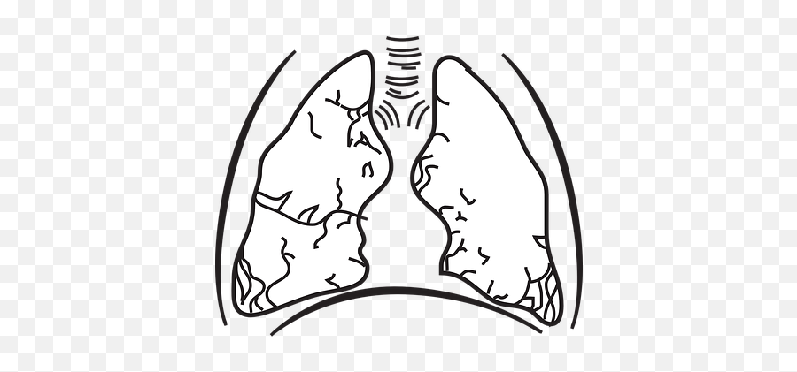 100 Free Breath U0026 Lungs Vectors Emoji,Emoji Lungs