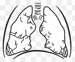 100 Free Breath U0026 Lungs Vectors Emoji,Emoji Lungs