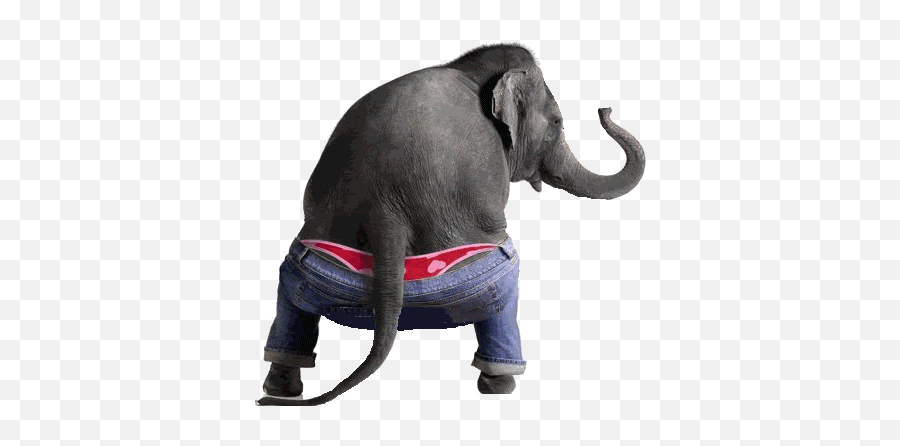 Top Funny Elephant Stickers For Android - Funny Animations That Move Emoji,Elephant Emoji