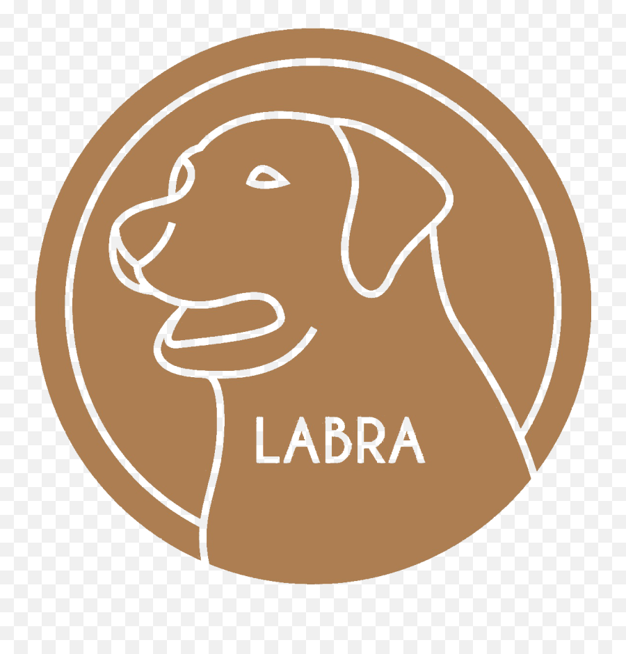 Crypto Meme Website Design Trends Of - Labra Coin Emoji,Memes With Emotion