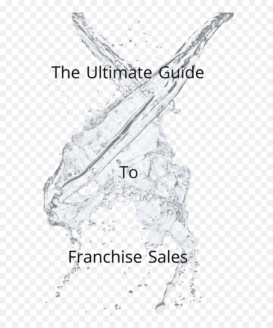 The Ultimate Guide To Franchise Sales - Language Emoji,Typed Emotions Are Acceptable As Long It Is Not To Your Boss.