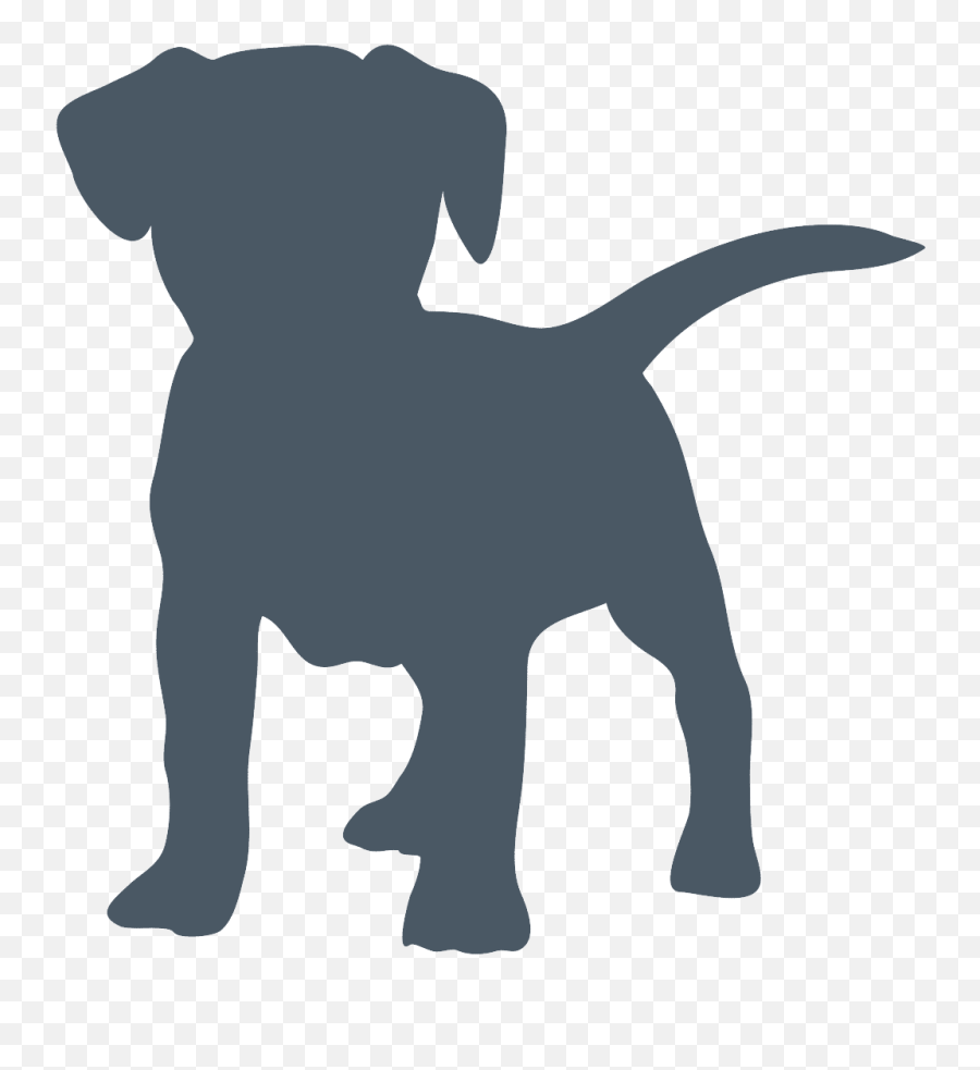 Therapy Dog Application Process - Therapy Dogs New Zealand Emoji,Showing Emotion In Front Of Your Dog