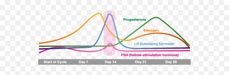 Menstrual Cycle Triumph Monthly Cycle - Vertical Emoji,Menstrual Cycle Emotions