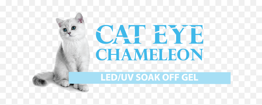 Cat Eye Gel U2014 Cre8tion Products Emoji,Cat Pupil Emotions