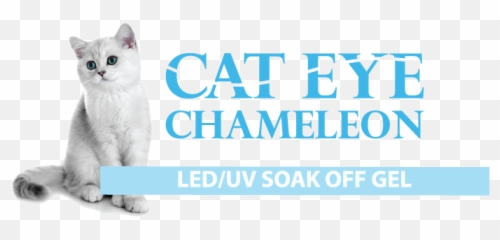 Cat Eye Gel U2014 Cre8tion Products Emoji,Cat Pupil Emotions