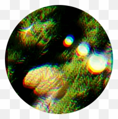 Zwart Goud Record Store Emoji,Juju On The Beat Emoticon