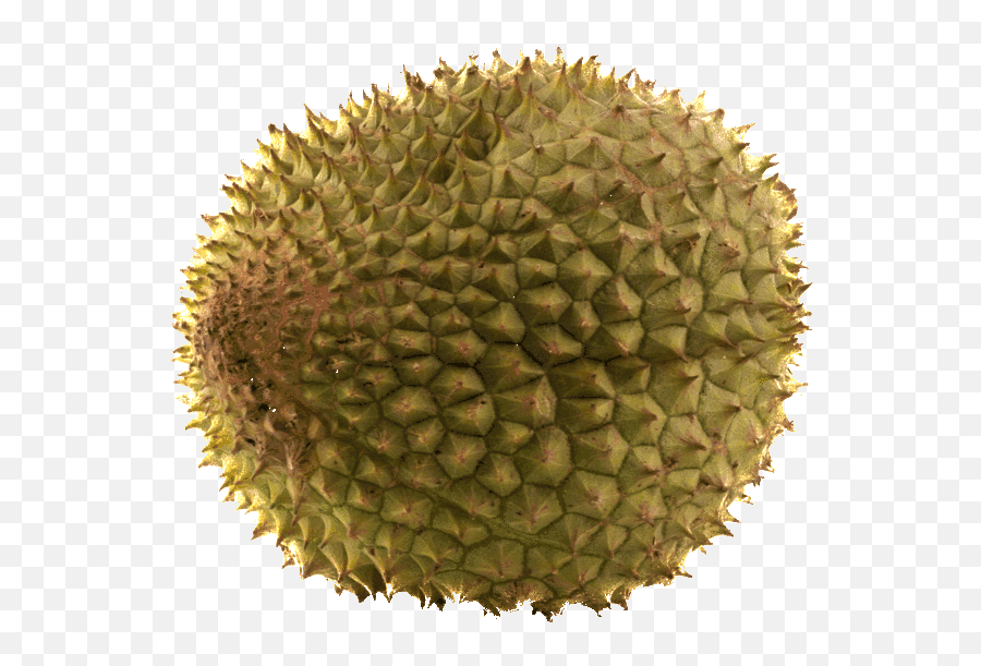 Museum Of Durian Emoji,Durian Emoticon