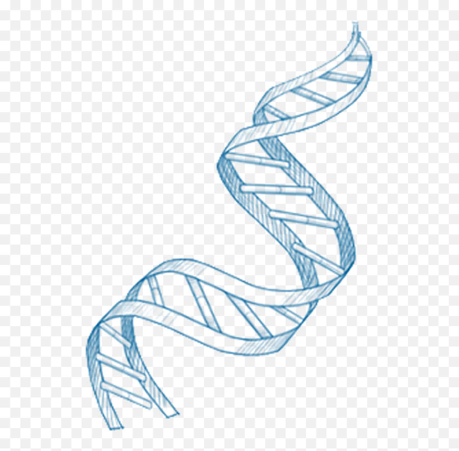 Nmnpure H - Immunity Dna Repair And Antiaging Support Emoji,Double Helix Emoji