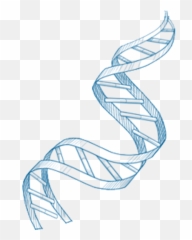Nmnpure H - Immunity Dna Repair And Antiaging Support Emoji,Double Helix Emoji