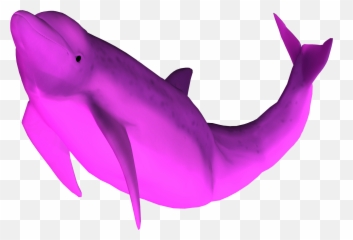 Pink Dolphin Clothing Wallpaper 1 - Pink River Dolphin Transparent Emoji,3 Dolphin Emoji