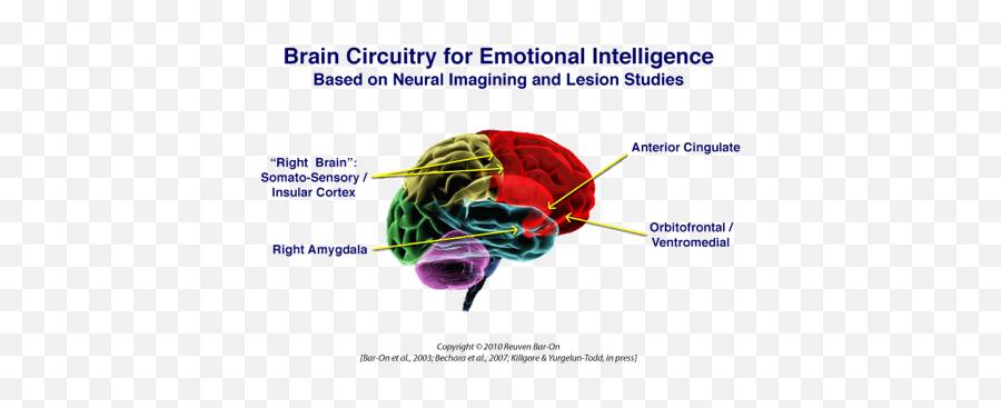Emotional Intelligence - Brain Emoji,Amygdala Emotions