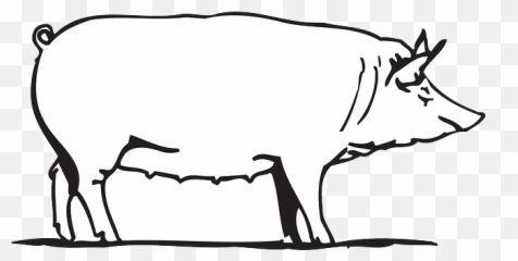 Free Pictures Drawing Emoji,How To Draw Emotion On An Animal