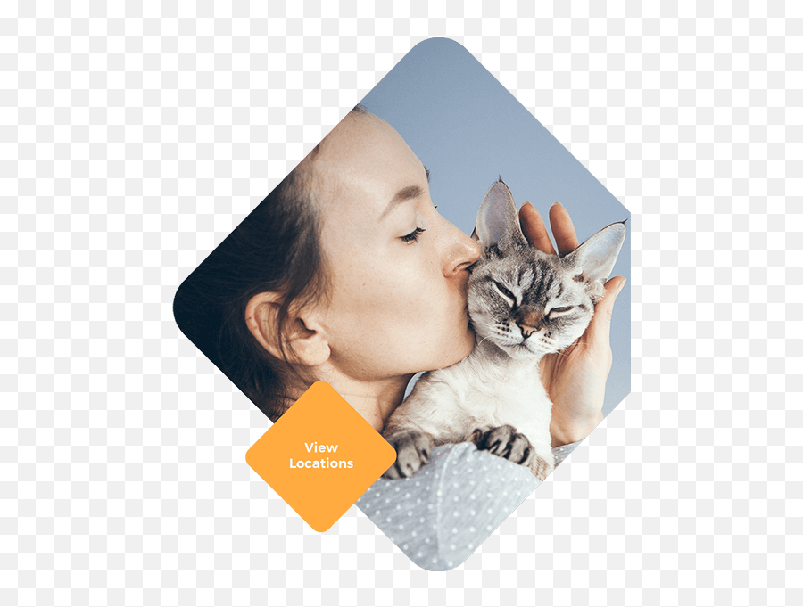 Veterinary Medical Services - Primary Wellness U0026 Urgent Woman Cuddling Cat Emoji,Signs Of A Cat Emotions
