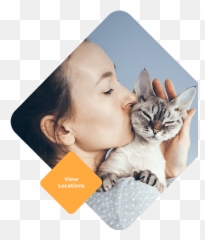 Veterinary Medical Services - Primary Wellness U0026 Urgent Woman Cuddling Cat Emoji,Signs Of A Cat Emotions