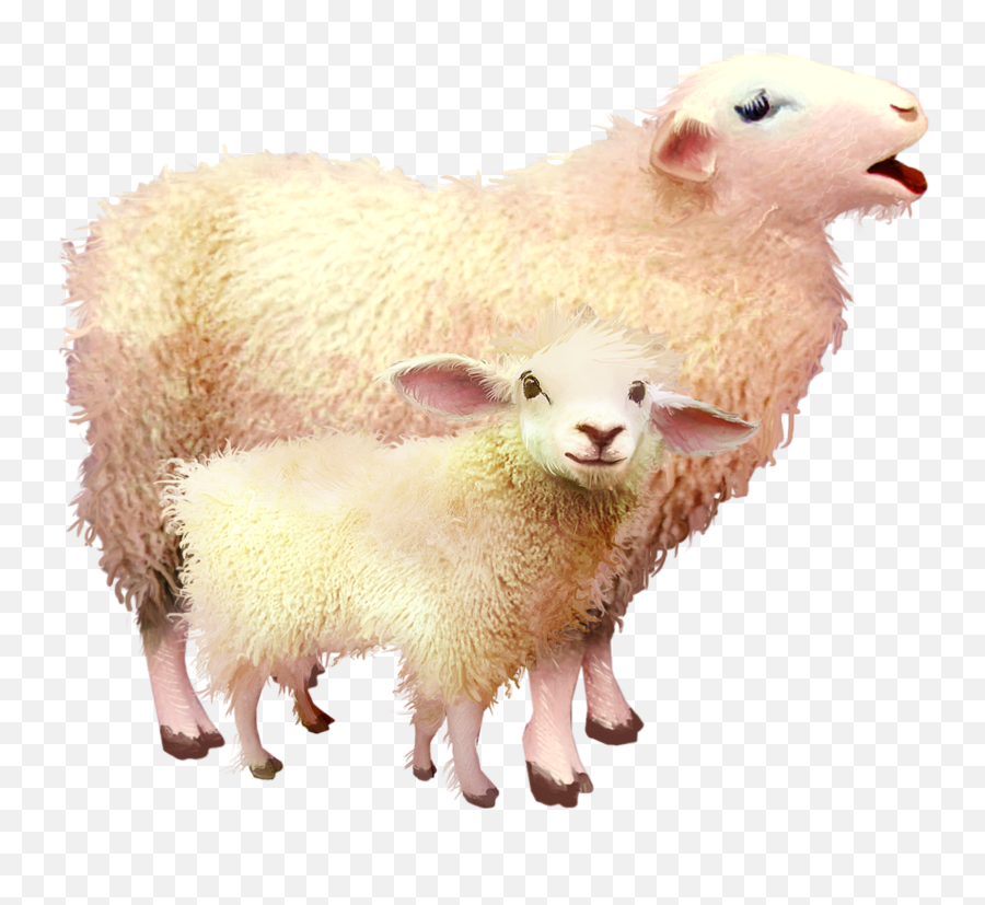 Sheep Mama Baby Sticker By Chris - Sheep And His Baby Png Emoji,Sheep Emoji