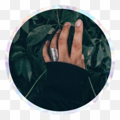 Putting Magick In Your Hands - Human Being Touching Plant Emoji,Origin Of Emotion Power Rings