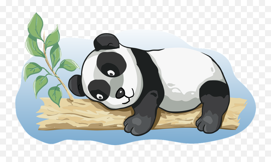 Free Photo Bamboo Giant Panda Panda - Animated Panda Emoji,Panda Emotion Clipart