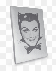 1990 - Catwoman Emoji,Breyers Emoticons