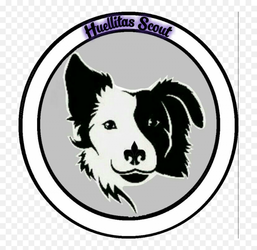 Border Collie Face Clipart - Border Collie Silhouette Svg Emoji,Collie Emoji