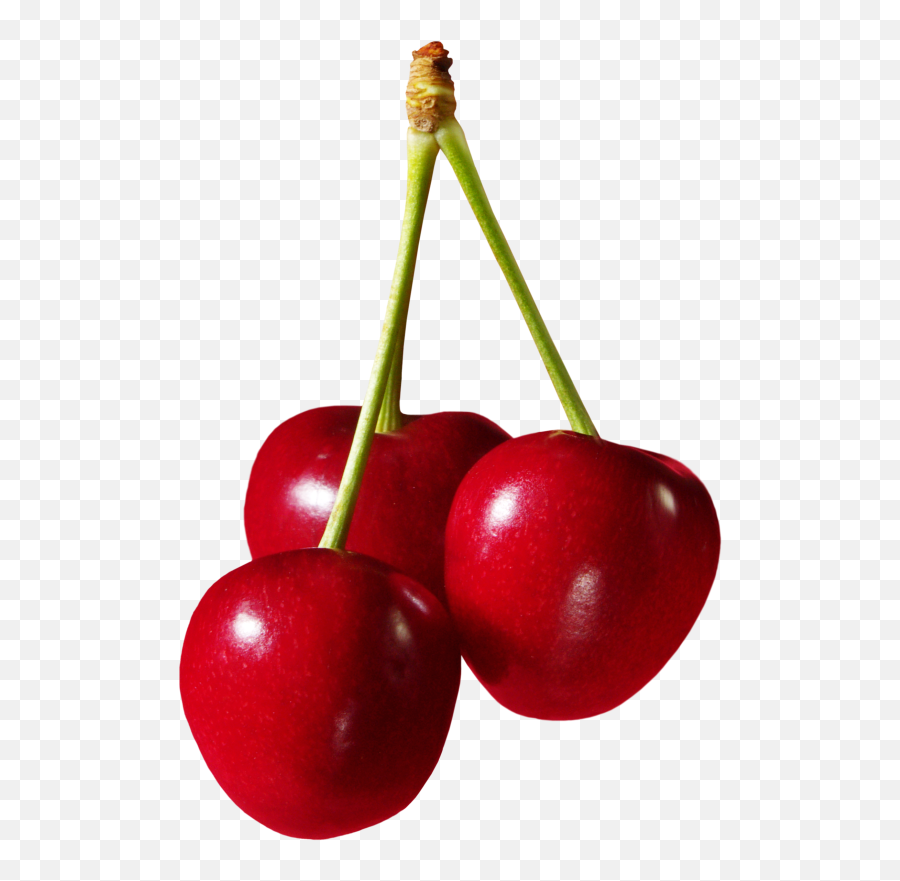 Fruit Clipart Cherry Fruit Cherry - Fruit Clipart Png Emoji,Cherry Emojis