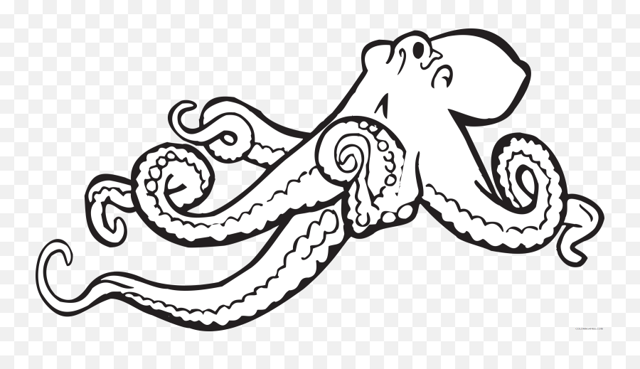Black And White Octopus Coloring Pages Octopus Illustrations - Octopus Clipart Black And White Emoji,Octopus Emoji