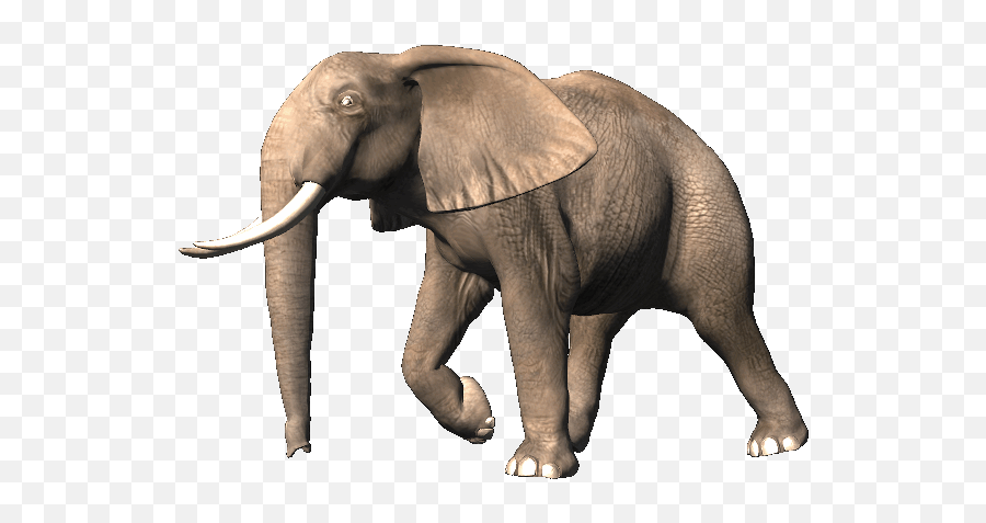 Beautiful Gif - Elephant Gif Transparent Background Emoji,Elephant Emoji