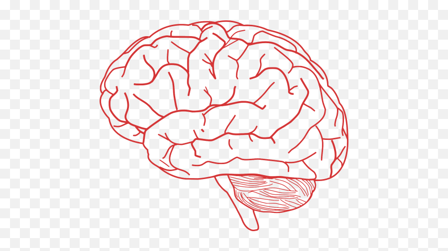 Human Brain Public Domain Image Search - Freeimg Side Of The Brain Clipart Emoji,Emoticons Brain