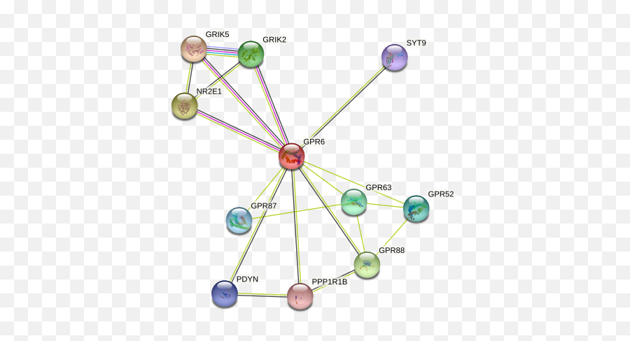 Gpr6 Protein Human - String Interaction Network Emoji,Striatum And Emotions