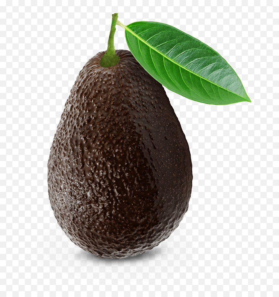 Avocado Png Images Transparent Free Download Pngmart Emoji,Avacado Emoji