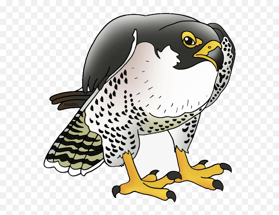 Falcon Clipart Transparent Falcon - Easy Peregrine Falcon Cartoon Emoji,Atlanta Falcons Emoji