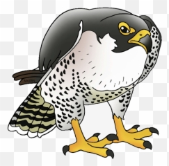 Falcon Clipart Transparent Falcon - Easy Peregrine Falcon Cartoon Emoji,Atlanta Falcons Emoji