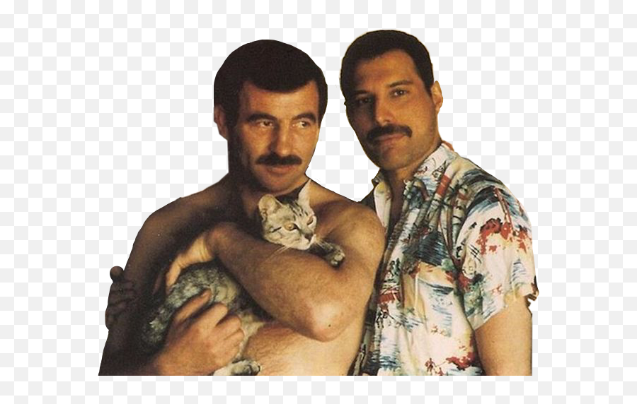 Freddie Freddiemercury Sticker - Freddie Mercury Ve Jim Emoji,Where Is Gaycat Emoji