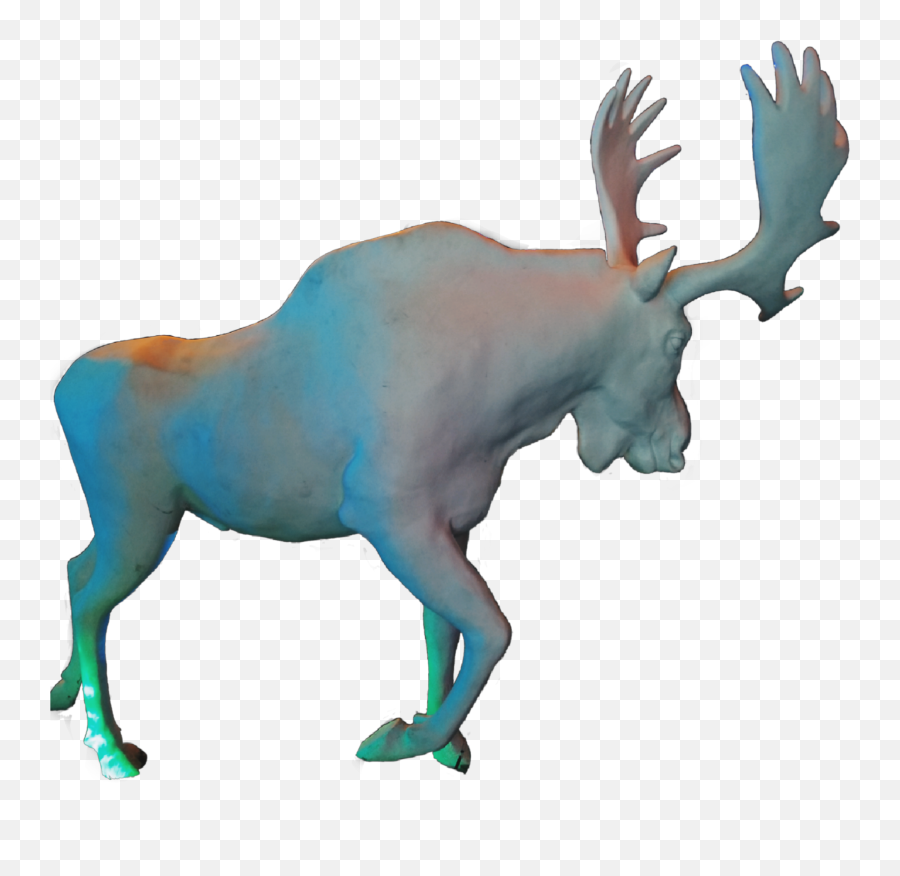 Moose Sticker Antlers Horns Sticker - Animal Figure Emoji,Moose Emoji