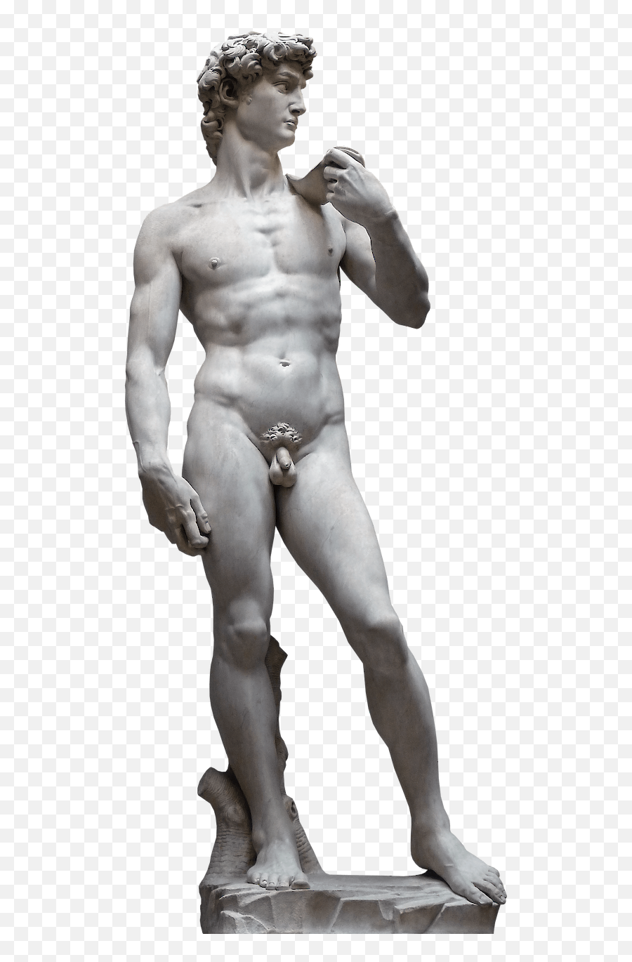 David And Goliath Themes In Art - David Di Michelangelo Png Emoji,Michelangelo David Emotions