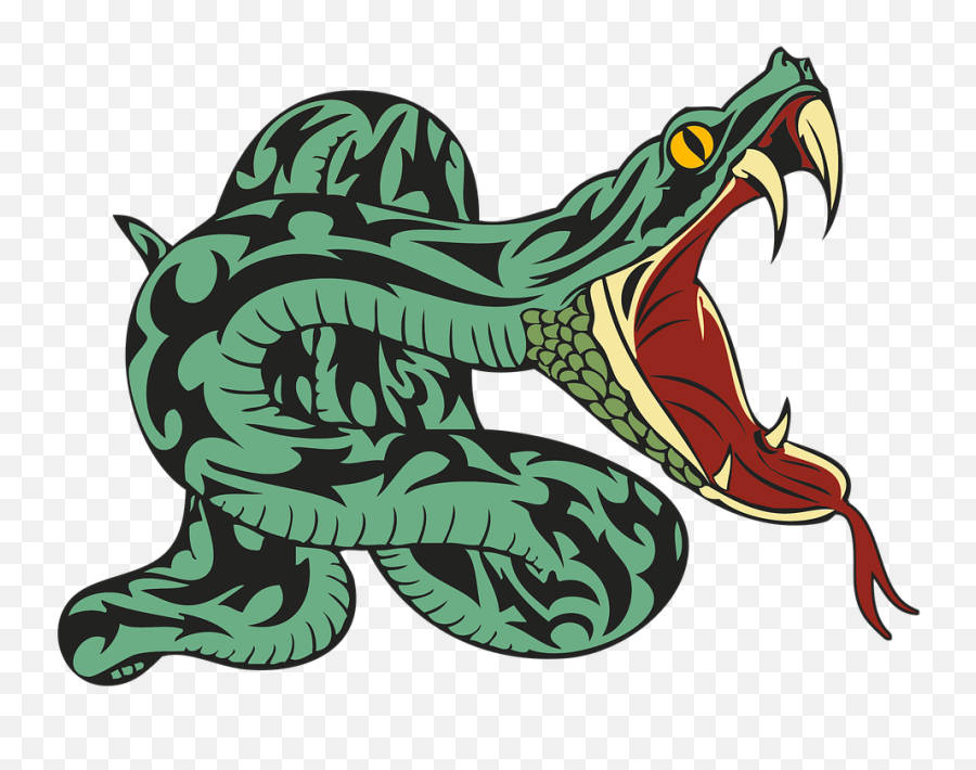 Free Photo Jungle Head Poisonous Poison Nature Snake Reptile - Yakuza Snake Emoji,Bared Teeth Chimpanzee Emotion